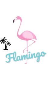 Flamingo Clothing 