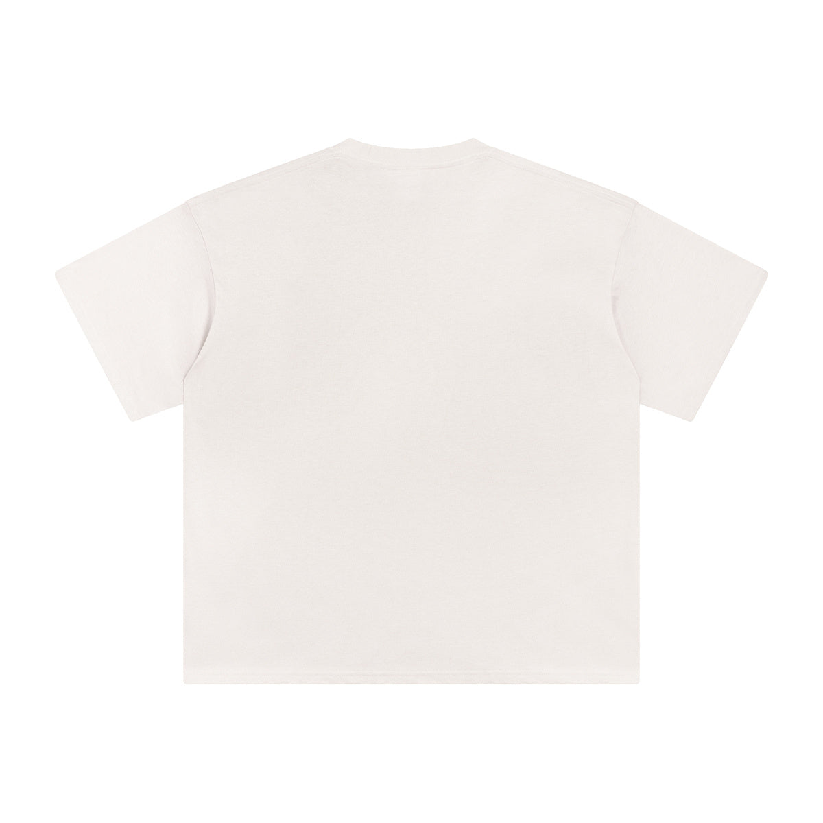 FlMINGO EVERYDAY BOXY TEE